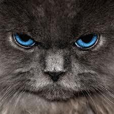 Olá, pode me chamar de Ego. Muito grato por estar visitando a minha pagina virtual. Espero sermos bons amigos. Seja Bem Vindo!!!