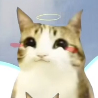 DontBullyingMe's profile picture. 🔞 he/she/it 19yrs
spam for @devilbunzz priv is @andiaquarium
i am a crazy person