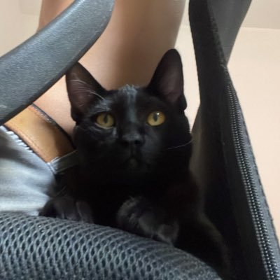sametonho's profile picture. Planeta Nibiru.
VR, GameDev