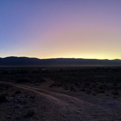 speedrunflow's profile picture. just browsing