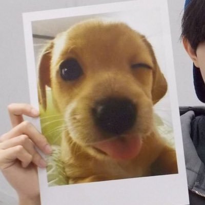 rosinhive's profile picture. born to be normal forced to be rosin