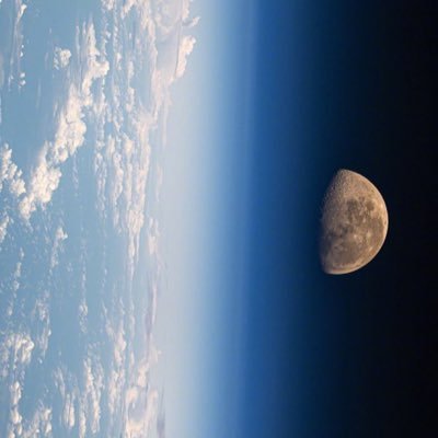 moonlight111214's profile picture. 生命中最伟大的光辉不在于永不坠落，而是坠落后总能再度升起。