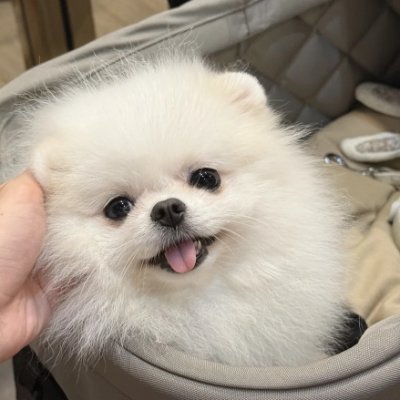 Leslie6945's profile picture. When we put our minds to it, there’s a lot of things we can’t do..