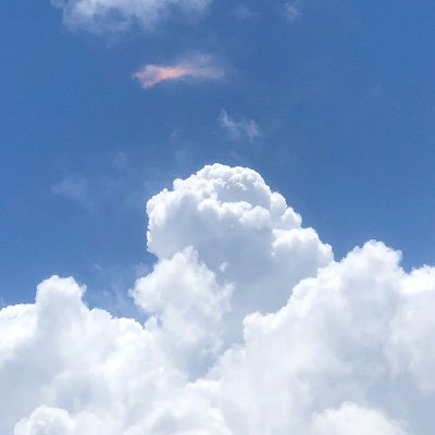 Finest_q400's profile picture. 