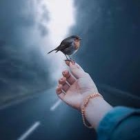 Abigail236985's profile picture. Don’t watch the clock; do what it does. Keep going.