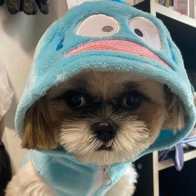 m3121638263876's profile picture. 