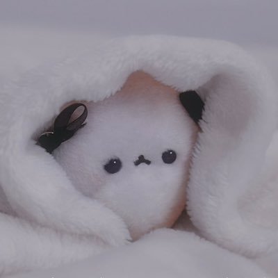 ღ𝒜ℴ𝒾𝒮ℴ𝓇𝒶ღさんのプロフィール画像