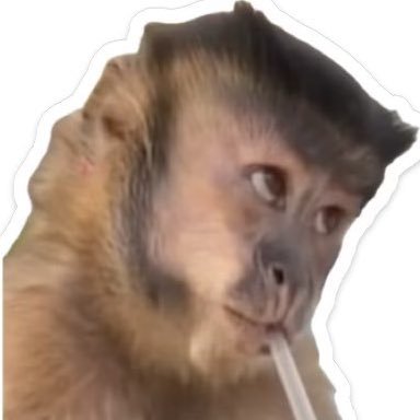 Diablito17_'s profile picture. Yes, the fire rises 🔥