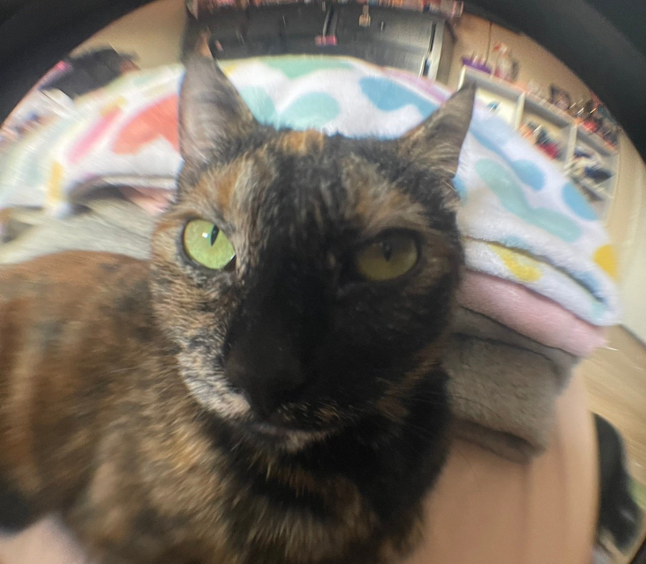 camiqzr's profile picture. 