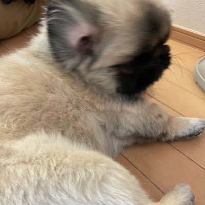 kmc_13_'s profile picture. @k_13_0 ⬅️ロックされて入れなくなった〜