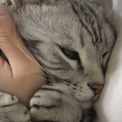 clara145892's profile picture. Pursue what sets your soul on fire