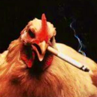 Dinner_4_Wolves's profile picture. NJ Devils, comics books, horror films. USN vet. The 1st & 2nd issues of my comic book SPACE FART can be purchased at the link ⬇️