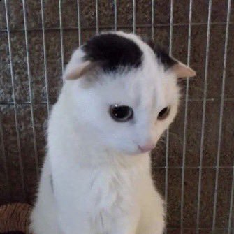 slathammer's profile picture. 