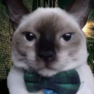 ALLHAILBLUEBLUR's profile picture. 