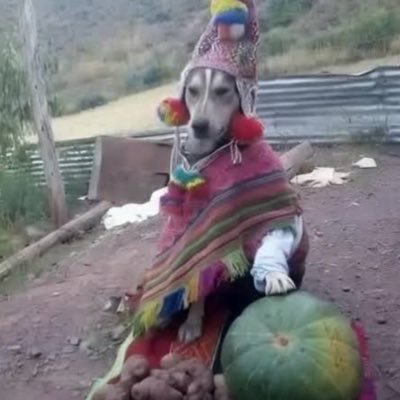 TweetyO93's profile picture. 