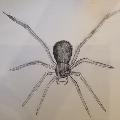 SarveshD1981's profile picture. 