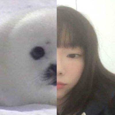 @qweonlee