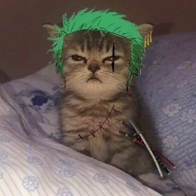 dnkkng_'s profile picture. kingkong 🦍