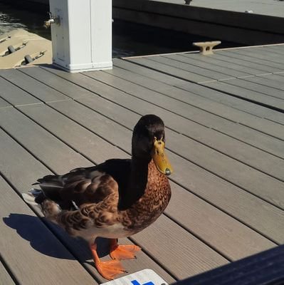 lehao138's profile picture. 