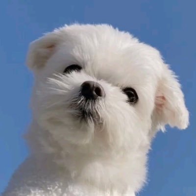 @beside_the_moon