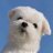 beside_the_moon's profile image