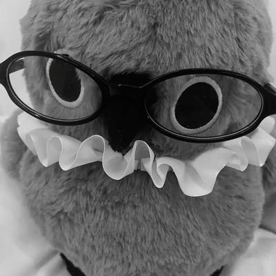 archieellv's profile picture. 𝖺ꭑ𝗈𝗎𝗋.ㅤ★ㅤ𝖺𝗎𝗋𝗈𝗋𝖺ㅤ⎯ㅤ𝖻𝗈𝗋𝖾𝖺𝗅.