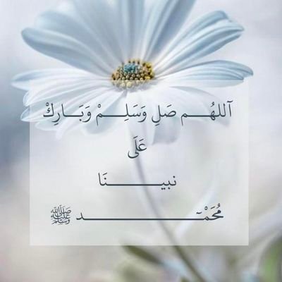 bonasser0077's profile picture. 