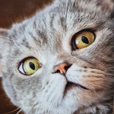 martythebear34's profile picture. I'm married 38 years...Big fan of Howard Stern, On Patrol Live, Chess, Bowling, Scrabble and Fireworks, Huge Zappa fan !! 🎸