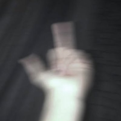 yfvlrt's profile picture. ねこすき ￤@sevvng￤@canezerra