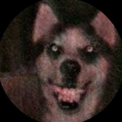 cherubiann's profile picture. freaky frog