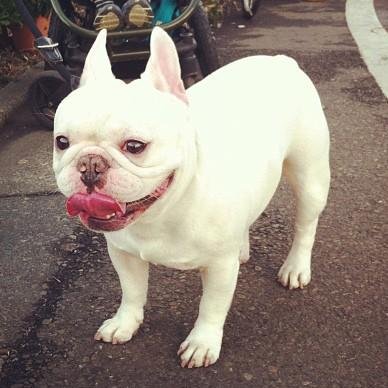 rainmenxia's profile picture. 