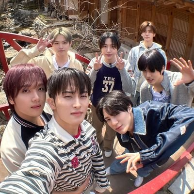 sunflower_alimo's profile picture. 