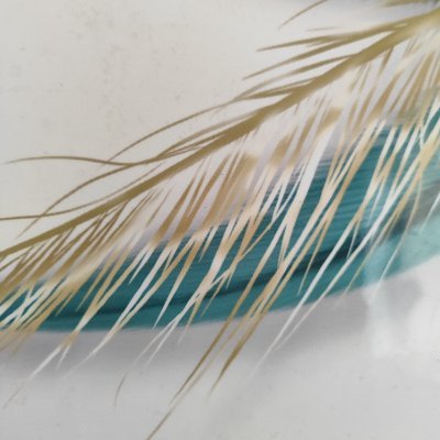 ryu15604's profile picture. 