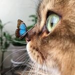 aliozduran3041's profile picture. 🚢 Sevgi saygı ister, ihanet bedel ⚡