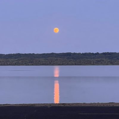 ArtRemsik's profile picture. 