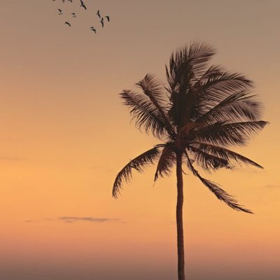 giar_mo's profile picture. Jika anda hidup untuk menyenangkan orang lain, semua orang akan mencintai anda kecuali diri anda sendiri. 🦋