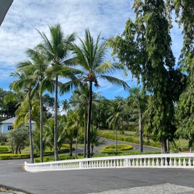 pedangchrome's profile picture. what what what