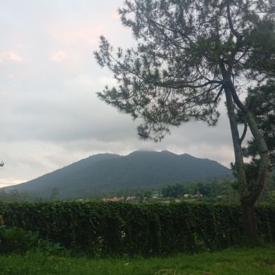 ambyar5105655's profile picture. 