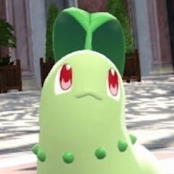 pandaboyyy1's profile picture. there’s nothing more powerful than a fat girl who didn’t give a f**k