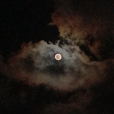 sliceofces's profile picture.
