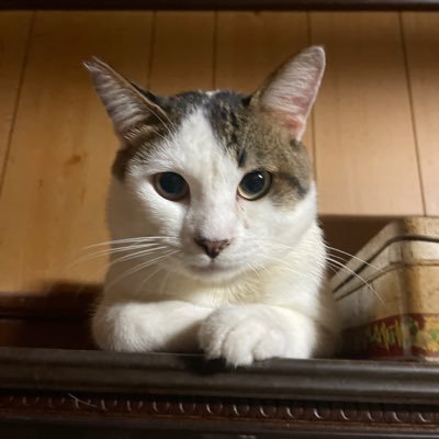 QOkH3ymjzXcwlPO's profile picture. 