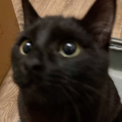 @b4tpaw