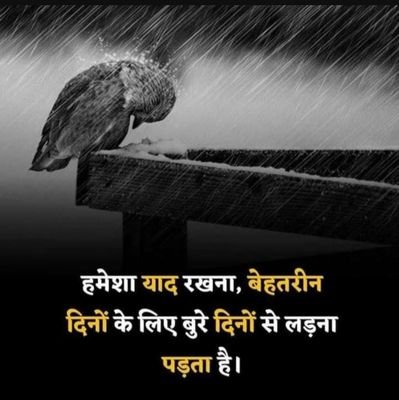 SherSamratAshok's profile picture. We are Indians firstly and lastly  , ग्रेट फैन ऑफ़ India🇮🇳🇮🇳🇮🇳  🙏  & शिवाजी, फुले ,बाबा साहब🙏 देश मे है अपनी जान🇮🇳,सर्वप्रथम भारतीय  🇮🇳🇮🇳🇮🇳💪💪