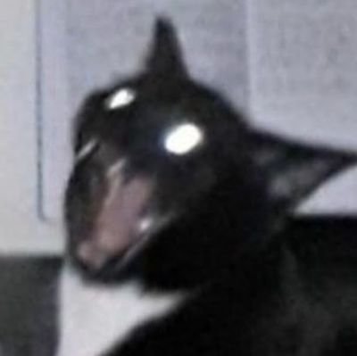 Joot_en's profile picture. 19 y/o | Multi-fandom artist | Silcotwt my beloved | Minors dni ty