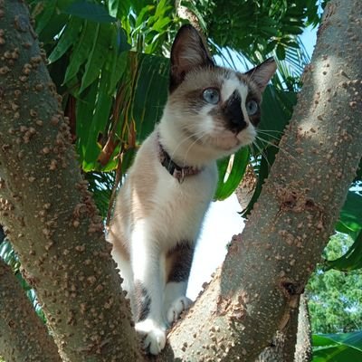 gchrbx's profile picture. 