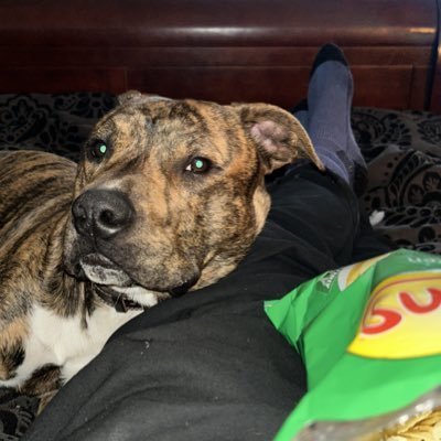 PaulChapman555's profile picture. Massive fan of the Carlton Football club, Dallas Cowboys and everything Snooker!