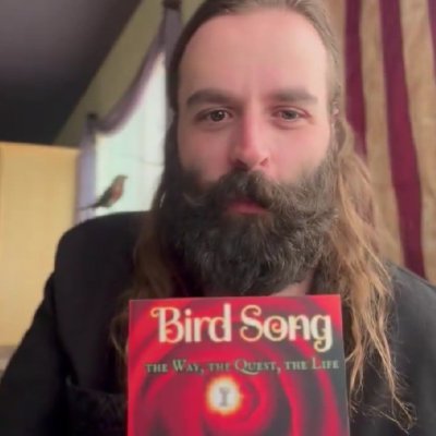 @3QBirds
