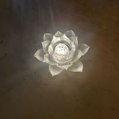 ChenJia90571's profile picture.