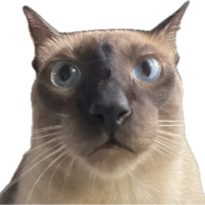 ararbanaco's profile picture. 