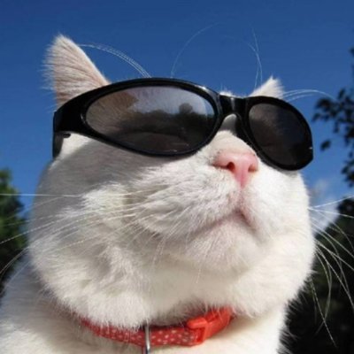 aixbebe's profile picture. 